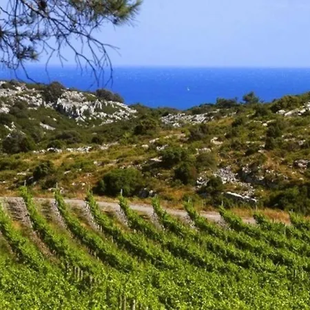 Entre Et Garrigue
